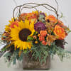 An array of oranges, greens and a touch of burgundy. Includes: Sunflowers