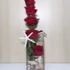 5 medium stem red Roses in tall glass vase with a sea
