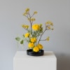 *For Event Order inspiration only, kokedama designs are not available for local