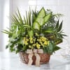 Basket of mixed green plants with small yellow flowers and a burlap bow.