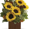 Sunflower arrangement in a wooden box with mixed greenery