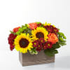 Sunflowers, orange roses, and burgundy mums in a rectangular wooden box