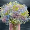 Colorful Baby breath in a box