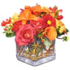 Add a little seasonal spice to your celebration or family gathering with