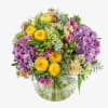 A breath-taking assortment of seasonal flowers led by hydrangeas and spray roses