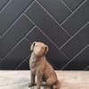 This classy figurine makes the perfect gift