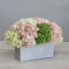 Low arrangement of pastel and green hydrangeas in a rectangular gray concrete container