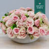 Low bowl of tightly clustered blush pink roses in a compact dome-shaped arrangement