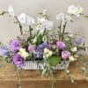 White orchids and purple flowers arranged in a rectangular vase