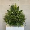 Dense green foliage arrangement on a white pedestal