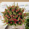 -similar to picture 
-white plastic container
size: large