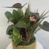 Tropical plant arrangement in a patterned ceramic pot with a pink anthurium bloom