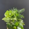 Basket of assorted green houseplants against a dark background