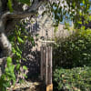 Memorial wind chime hanging from a tree in a garden