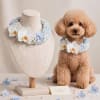 Dog wearing a pastel floral collar beside a matching display bust