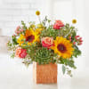 Sunflower and rose arrangement in a textured square vase with a succulent accent