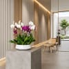 White and purple orchids in a white bowl planter on a pedestal