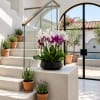 White and purple orchids in a black bowl planter on a staircase landing.