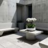 White orchids in a low white planter on a concrete table