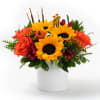 Low arrangement of yellow sunflowers and orange roses with red berries in a white vase