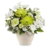 White and lime-green floral arrangement in a beige vase