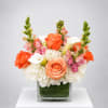 Orange and white floral arrangement in a square glass vase