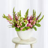 Pink and white snapdragons in a white vase