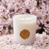 White candle in a glass jar surrounded by pale pink blossoms