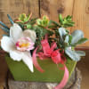 Type of Flowers: 5 assorted mixed succulents and desert cactus with white