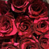We have special striped roses in stock. Order standard 12, deluxe 18