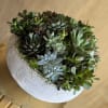 A modern ceramic planter filled with an elegant mix of fresh succulents