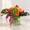 Colorful bouquet in a clear square vase with roses, calla lilies, and orange blooms