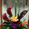 Lillies, roses, birds of paradise, Hydrangae and more!