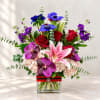 Mixed bouquet of red roses, pink lilies, purple orchids, and blue anemones in a glass vase