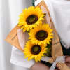 Three sunflowers wrapped in newspaper-style paper with a lace ribbon