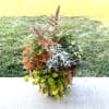 Potted mixed foliage planter with trailing lime-green leaves and rust, silver, and green textures on a patio.