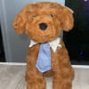 Brown plush dog wearing a blue tie and white collar