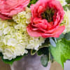 Beautiful garden roses with green hydrangeas