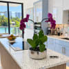 Purple orchid plant in a silver pot on a kitchen island
