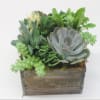 Succulent arrangement in a rustic wooden planter