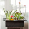 Succulent arrangement in a rectangular black planter with pebbles
