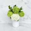 White and green hydrangeas arranged in a white vase