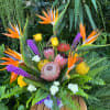 Tropical bouquet with bird of paradise, protea, and roses in a vase