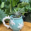 A living succulent selected and grown to complement a mug about 4
