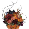 There's no trick to this treat! Everyone loves this happy Halloween surprise