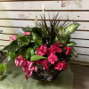 Pink flowers and mixed tropical foliage in a basket with a pink ribbon