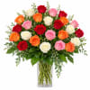 Mixed roses in red, pink, orange, and white in a clear glass vase