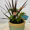 Lush dish garden is full of lively green plants that are artfully