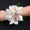 Two large white orchid blooms with red-speckled centers create an instantly elegant
