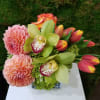 Pink dahlias, green orchids, and tulips in a glass vase